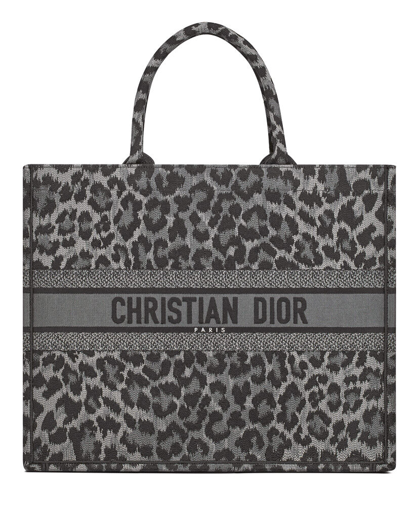 Christian Dior Book Tote Mizza Embroidery Bag Gray